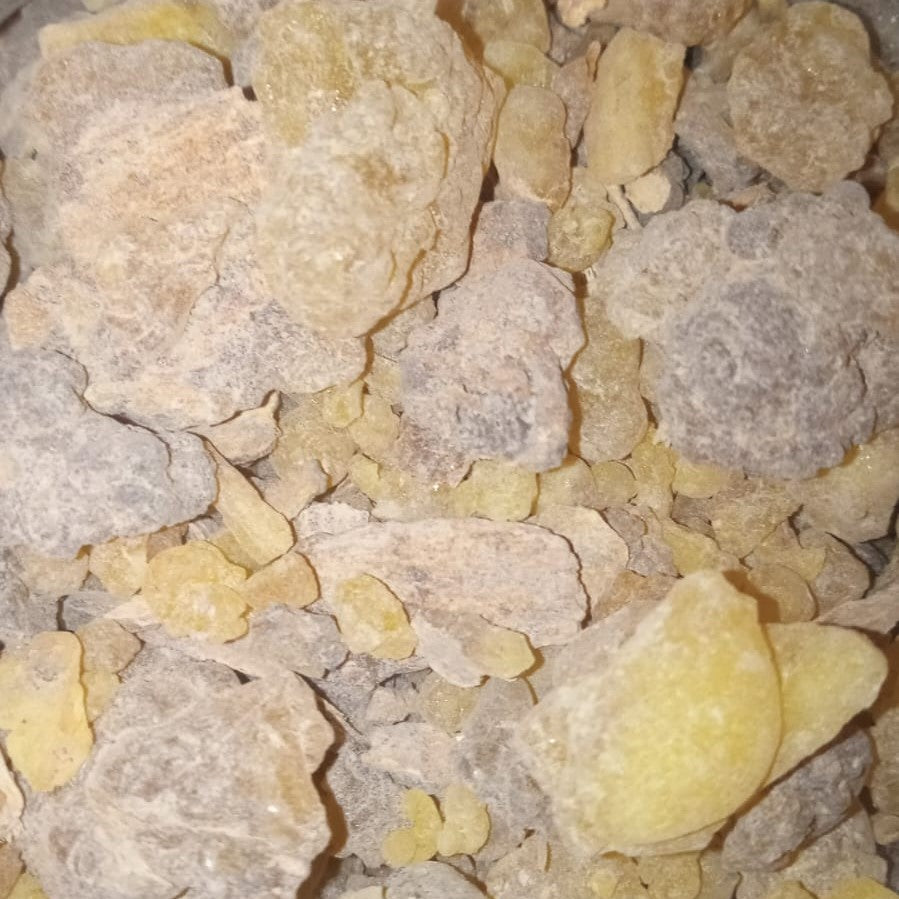 Harrabi