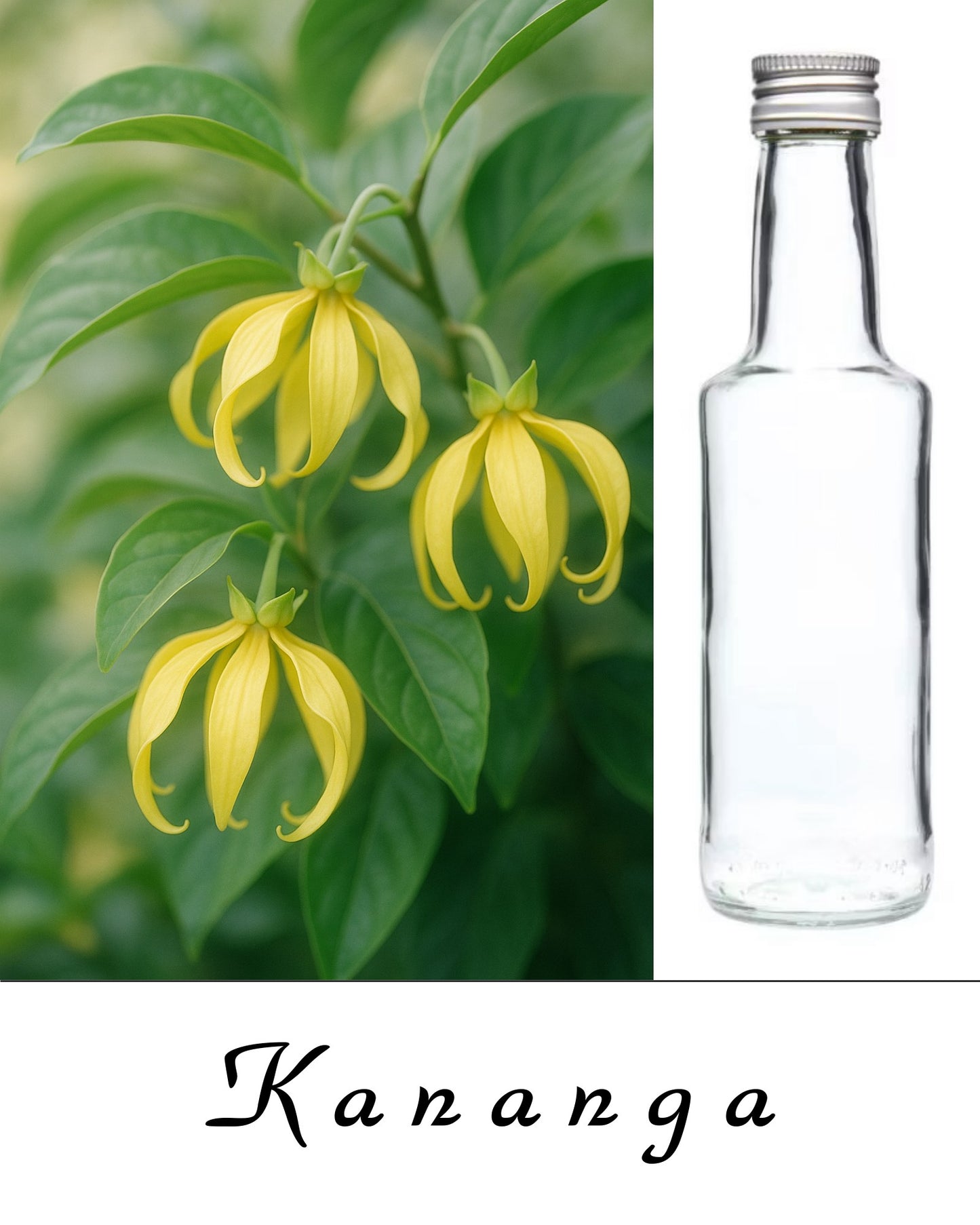 Acqua Kananga – Acqua Spirituale di Connessione, Dolcezza e Attrazione Energetica - Bottiglietta da 200 ml.