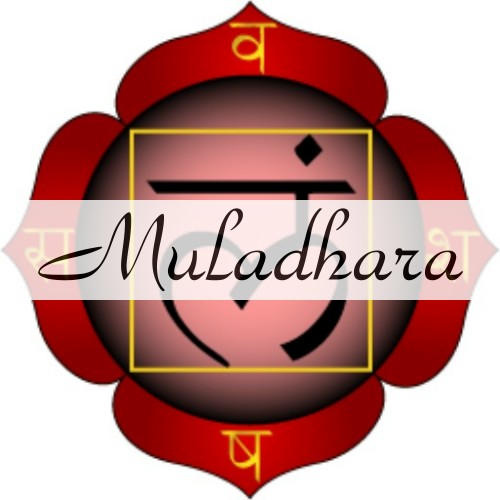 Muladhara, I Chakra - Olio Energetico 5 ml.