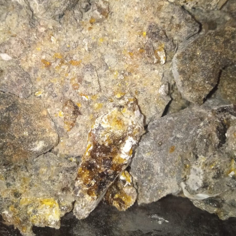Palo Santo (resina)