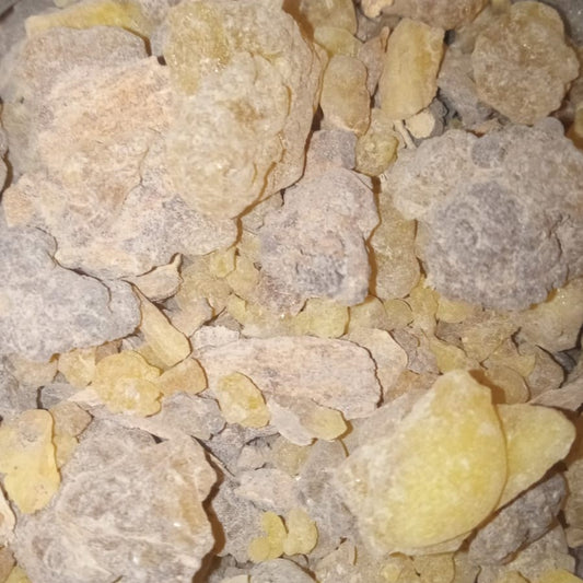 Harrabi