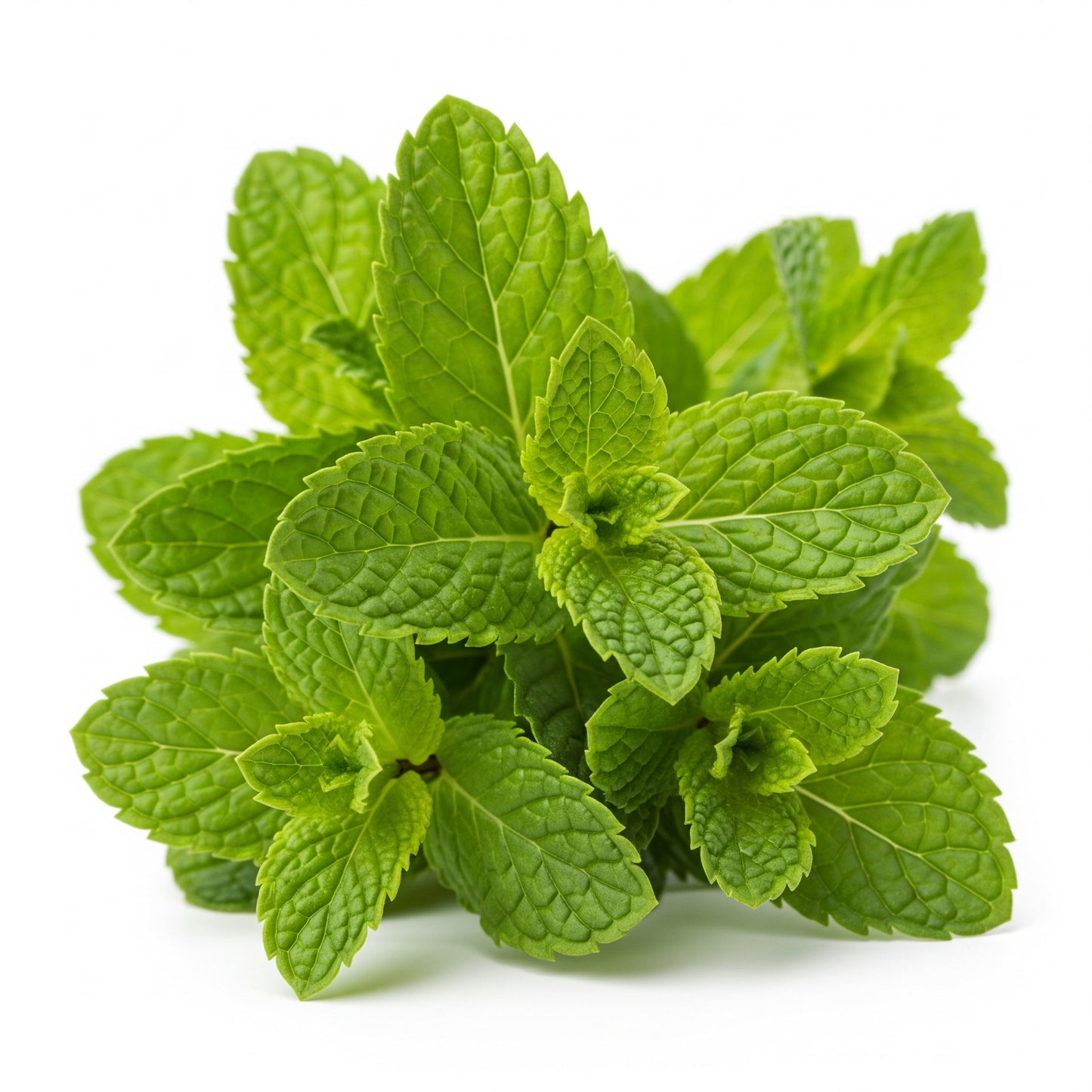 Menta - Essenza profumata Teos, 15 ml.