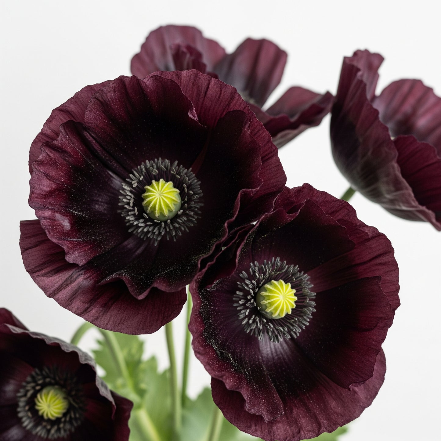 Opium - Essenza profumata Teos, 15 ml.
